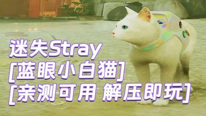 图片[1]_迷失Stray MOD整合版 [主角变成 蓝眼小白猫] 简体中文 免安装 绿色版 [亲测可用 解压即玩]【6.22GB】_单机乐_GTAMOD整合版_游戏网