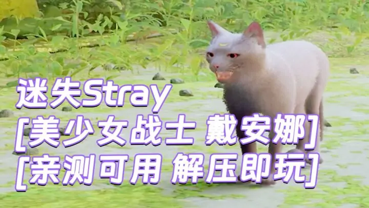 图片[1]_迷失Stray MOD整合版 [主角变成 美少女战士 戴安娜 紫猫] 简体中文 免安装 绿色版 [亲测可用 解压即玩]【6.21GB】_单机乐_GTAMOD整合版_游戏网