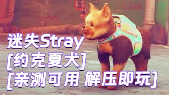 图片[1]_迷失Stray MOD整合版 [主角变成 约克夏犬] 简体中文 免安装 绿色版 [亲测可用 解压即玩]【6.22GB】_单机乐_GTAMOD整合版_游戏网