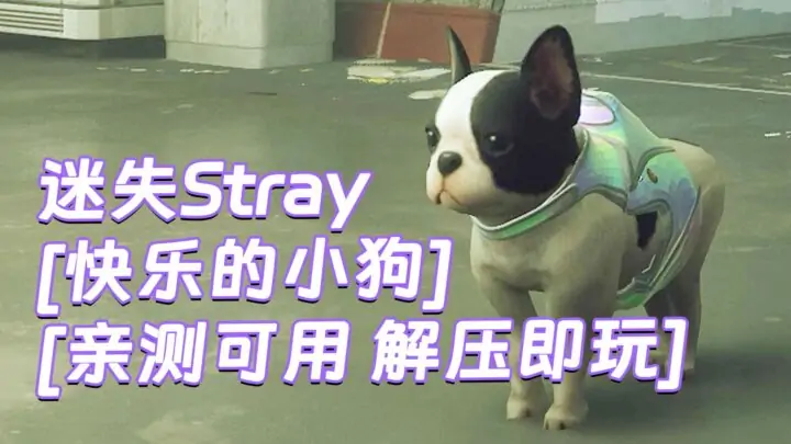 图片[1]_迷失Stray MOD整合版 [主角变成 快乐的小狗] 简体中文 免安装 绿色版 [亲测可用 解压即玩]【6.21GB】_单机乐_GTAMOD整合版_游戏网