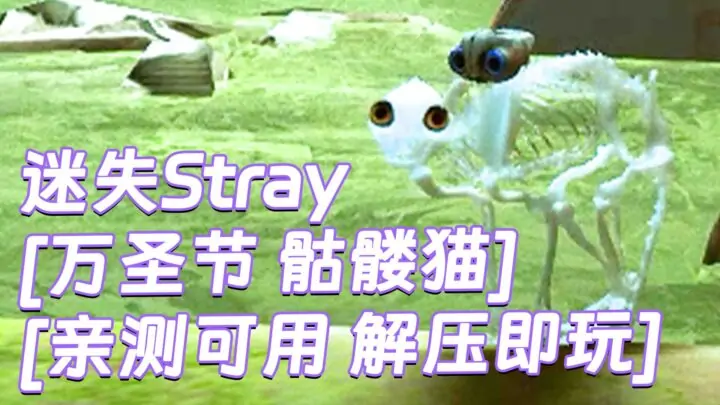 图片[1]_迷失Stray MOD整合版 [主角变成 万圣节 骷髅猫] 简体中文 免安装 绿色版 [亲测可用 解压即玩]【6.21GB】_单机乐_GTAMOD整合版_游戏网