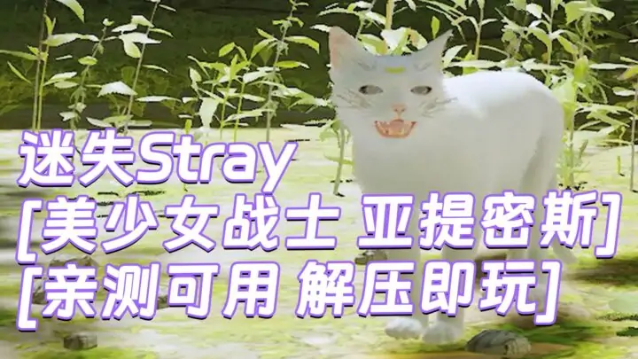 图片[1]_迷失Stray MOD整合版 [主角变成 美少女战士 亚提密斯 白猫] 简体中文 免安装 绿色版 [亲测可用 解压即玩]【6.21GB】_单机乐_GTAMOD整合版_游戏网