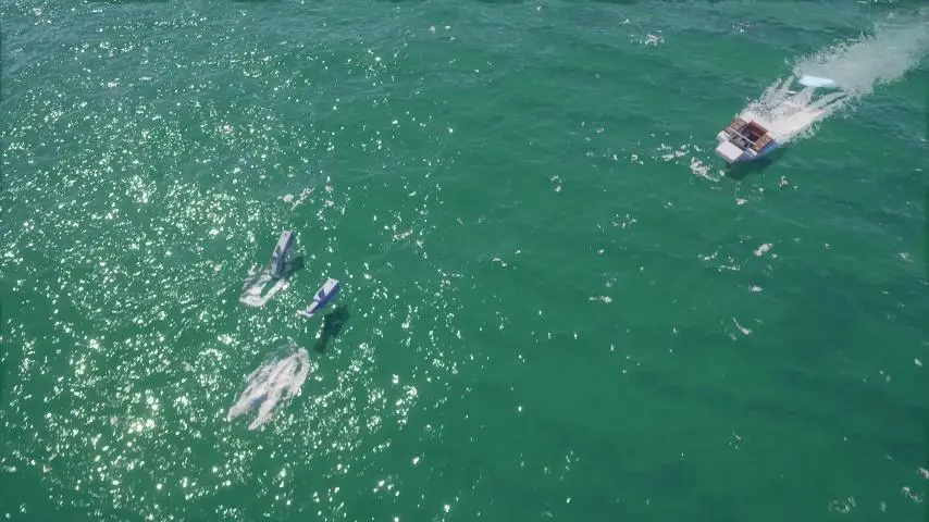 图片[8]_GTA6壁纸 53张图片 [电脑手机] 预告片1 [我的世界版] 4K【345MB】_单机乐_GTAMOD整合版_游戏网